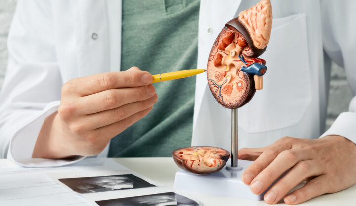 内科 腎機能低下 腎臓・健康診断・生活習慣病の相談の画像